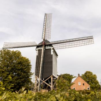 Van-Gogh-Radweg Zundert Nordwest - Zundert ist der Geburtsort von Vincent van Gogh, er wurde hier am 30. März 1853 geboren - <a href="http://www.radlfreak.de/van-gogh-radweg-zundert-nordwest" target="_blank">zur Beschreibung der Tour mit GPX-Download</a> - (c) Visit Brabant