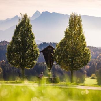 Die jährliche SEENLAND GARTEN ROAS findet dieses Jahr am Sonntag, den 3. September 2023 - (c) Heiko Mandl