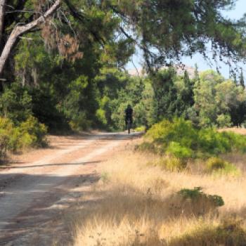 Fahrradurlaub auf Rhodos  Ein möglicher Ansatz auf dem Weg zum nachhaltigen Tourismus auf der Urlaubsinsel - (c) Jörg Bornmann