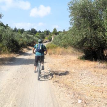 Fahrradurlaub auf Rhodos  Ein möglicher Ansatz auf dem Weg zum nachhaltigen Tourismus auf der Urlaubsinsel - (c) Jörg Bornmann