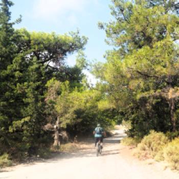 Fahrradurlaub auf Rhodos  Ein möglicher Ansatz auf dem Weg zum nachhaltigen Tourismus auf der Urlaubsinsel - (c) Jörg Bornmann