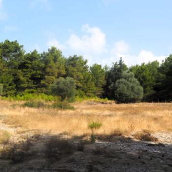 Fahrradurlaub auf Rhodos  Ein möglicher Ansatz auf dem Weg zum nachhaltigen Tourismus auf der Urlaubsinsel - (c) Jörg Bornmann