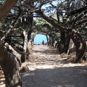 Fahrradurlaub auf Rhodos  Ein möglicher Ansatz auf dem Weg zum nachhaltigen Tourismus auf der Urlaubsinsel - (c) Jörg Bornmann