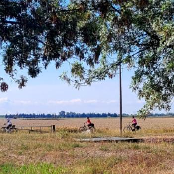 Im Land der Eselsrücken - mit dem Fahrrad unterwegs in Okzitanien - (c) Lutz Bäucker