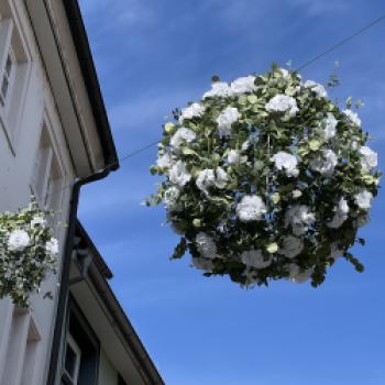 Grenzüberschreitende GartenZeitreise am Bodensee - (c) MTK/Therese Arndt