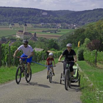 Von Burg zu Burg radeln - Familienradeln bei Gundelsheim