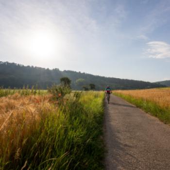 Auf dem Weg nach Mühlhausen - (c) Maren Recken