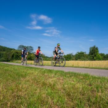 Enztalradweg unterer Teil - (c) Maren Recken
