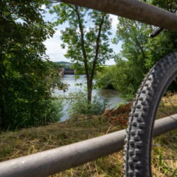 Zusammenfluss Enz/Neckar - (c) Maren Recken