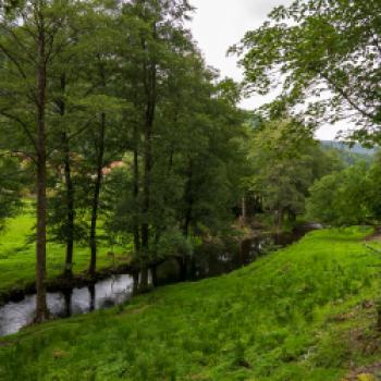 Der oberer Teil Enztal-Radweg Nordschwarzwald - (c) Maren Recken