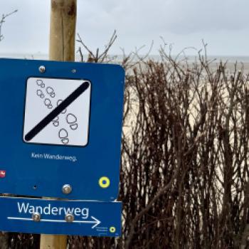 Borkum, den Ostfriesenklassiker, quer erradeln  Zwischen Dünenkamm, Wattkante und Nordseefrische - (c) Anke Sademann