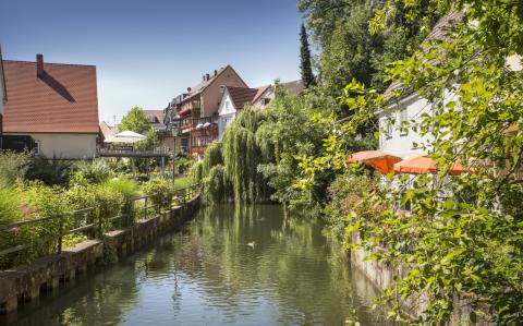 Radel-Genuss auf Sterne- und Fluss-Radwegen sowie mannigfaltigen Themenrundtouren - (c) Regionalmarketing Günzburg GbR Radel-Genuss auf Sterne- und Fluss-Radwegen sowie mannigfaltigen Themenrundtouren - (c) Regionalmarketing Günzburg GbR