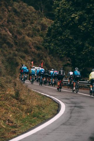 Die italienischen Radfans befällt das rosa Fieber. Ansteckung in diesem Fall ausdrücklich erwünscht - (c) privat Die italienischen Radfans befällt das rosa Fieber. Ansteckung in diesem Fall ausdrücklich erwünscht - (c) privat