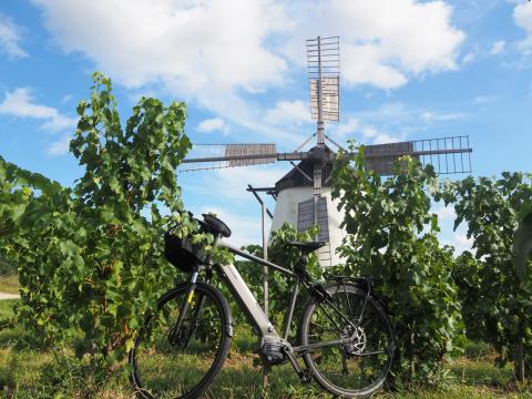 Die Windmühle oberhalb von Retz im Weinviertel ist die letzte funktionsfähige Mühle ihrer Art in Österreich - (c) Jörg Bornmann