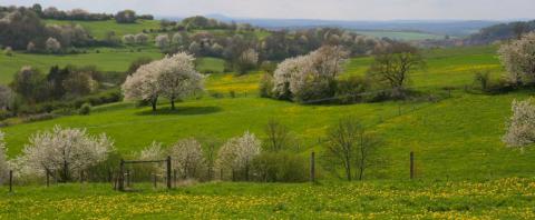 Vulkangebiet Vogelsberg - Die schönsten Radwege in Europas größtem Vulkangebiet - (c) Vogelsberg Touristik