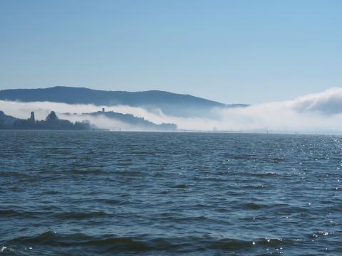 Den Lago Trasimeno mit dem Fahrrad entdeckt - Vogelschutz, Fischfang, Kultur und Kulinarik im westlichen Umbrien - (c) Jörg Bornmann Den Lago Trasimeno mit dem Fahrrad entdeckt - Vogelschutz, Fischfang, Kultur und Kulinarik im westlichen Umbrien - (c) Jörg Bornmann