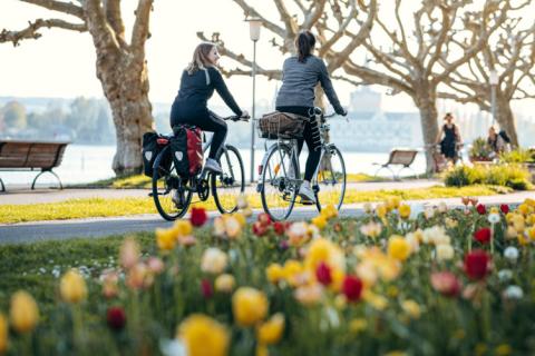 Die Feiern zum 40sten Jubiläum des Bodensee-Radweg sind Teil des Konstanzer Eventkalender 2023 - (c) MTK/Leo Leister