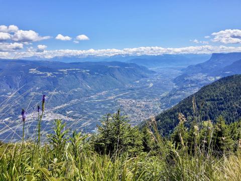 Vom Panoramatrail reicht der Blick weit nach Süden - (c) Christine Kroll Vom Panoramatrail reicht der Blick weit nach Süden - (c) Christine Kroll