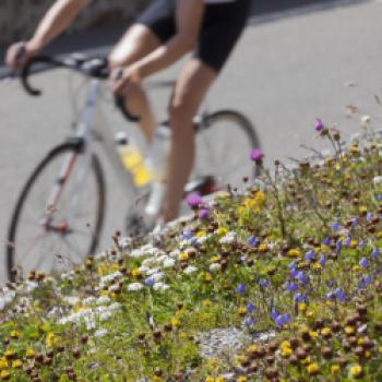 Mit dem Fahrrad von München nach Venedig, Radgenuss und Alpenüberquerung bis zur Adria - (c) Alberto Urbani