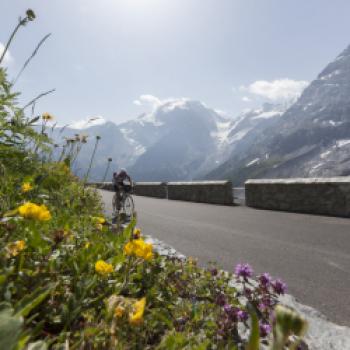 Mit dem Fahrrad von München nach Venedig, Radgenuss und Alpenüberquerung bis zur Adria - (c) Alberto Urbani