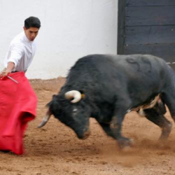 Mexiko – Stiere und Charros - eine fremde, emotionale Welt empfängt den Reisenden - (c) Irina Grassmann