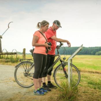 Radler auf dem Elberadweg - (c) Tourismusverband Prignitz - Markus Tiemann