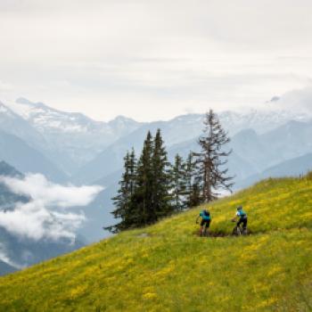 Brennende Waden oder Genusstour? - Biken 2020 im Salzburger Großarltal - (c) Erwin Haiden