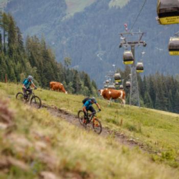 Brennende Waden oder Genusstour? - Biken 2020 im Salzburger Großarltal - (c) Erwin Haiden