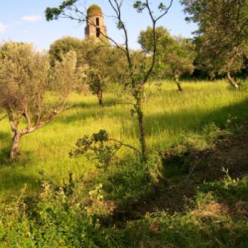 Einmalige Naturlandschaften erwarten uns auch im Valle Cilento - (c) Susanne Wess