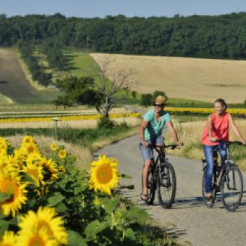 Österreichs „Rad-Reise-Region“ - Welterbe-Naturlandschaft Neusiedler See - (c) Neusiedler See Tourismus GmbH