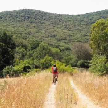 Im Parco regionale della Maremma - die Natur der Toskana mit dem Fahrrad hautnah erleben - (c) Jörg Bornmann