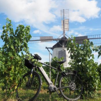 Die Windmühle oberhalb von Retz im Weinviertel ist die letzte funktionsfähige Mühle ihrer Art in Österreich - (c) Jörg Bornmann