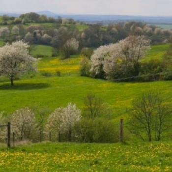 Vulkangebiet Vogelsberg - Die schönsten Radwege in Europas größtem Vulkangebiet - (c) Vogelsberg Touristik