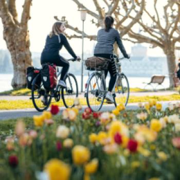 Die Feiern zum 40sten Jubiläum des Bodensee-Radweg sind Teil des Konstanzer Eventkalender 2023 - (c) MTK/Leo Leister