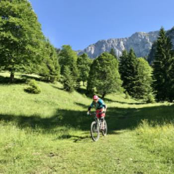 Flowig geht es au dem Benitrail ins Tal - (c) Christine Kroll