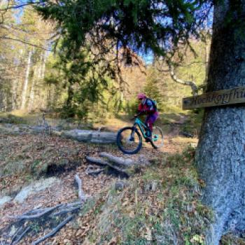 Der Steig ührt zurück zum Walchensee... - (c) Christine Kroll