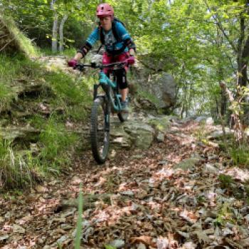 Die meisten Trails in der Region führen über Felsen und Waldboden - (c) Christine Kroll