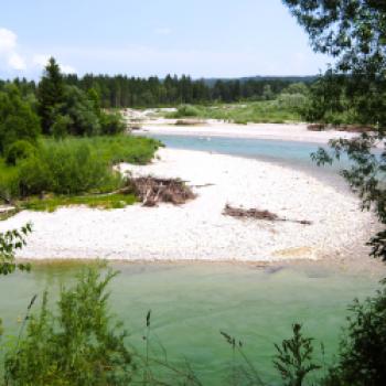 Die Isar kommt auc bei Geretsried noch als Wildfluß daher - (c) Jörg Bornmann