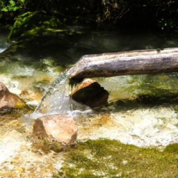 Wir haben für uns dieses Holzrohr zum wahren Beginn erklärt - (c) Jörg Bornmann