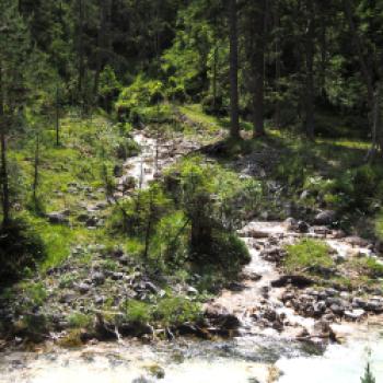 Schnell wird die Isar zu einem Bach und zu einem wilden Fluss - (c) Jörg Bornmann