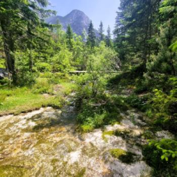 Die kommenden etwa zwölf Kilometer im Hinterautal bis Scharnitz sind ein einziger Genuss - (c) Gabi Vögele