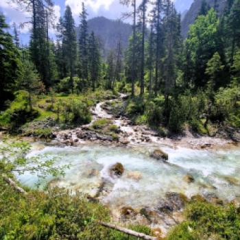 Immer wieder kommen links und rechts neue Zuflüsse hinzu und vergrößern die Isar sehr schnell zu dem einzigen noch existierenden Wildfluss Bayerns - (c) Gabi Vögele