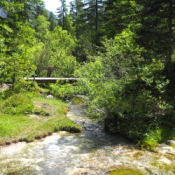 Angekommen am Isarursprung stellen wir unsere Fahrräder zunächst ab und machen uns zu Fuß auf einen Rundweg ins Quellgebiet der Isar - (c) Jörg Bornmann