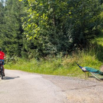 Mit dem Rad von den Alpen zur Adria: Geschichten, Genuss und ganz viel Panorama - (c) Carola Faber