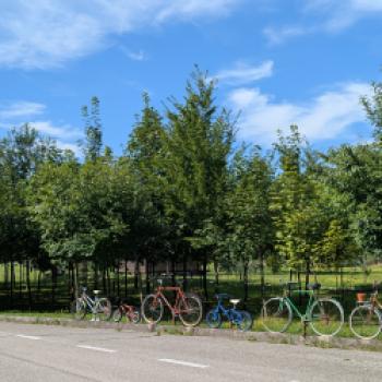 Mit dem Rad von den Alpen zur Adria: Geschichten, Genuss und ganz viel Panorama - (c) Carola Faber