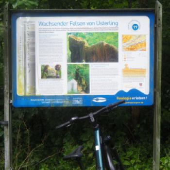 Von Dingolfing nach Landau a.d. Isar 18 km - (c) Jörg Bornmann