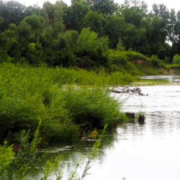 Von Dingolfing nach Landau a.d. Isar 18 km - (c) Jörg Bornmann