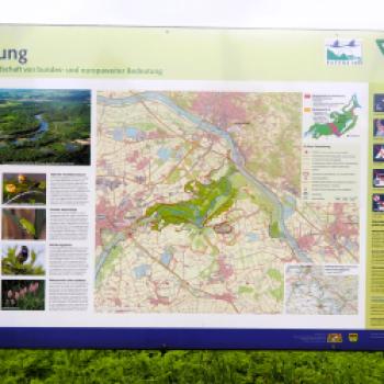 Von Plattling an die Isarmündung 14 km - (c) Jörg Bornmann