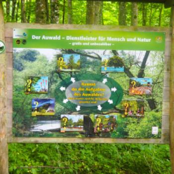 Von Plattling an die Isarmündung 14 km - (c) Jörg Bornmann
