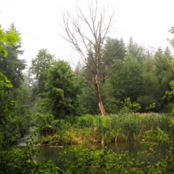 Von Freising nach Moosburg a.d. Isar 21 km - (c) Jörg Bornmann